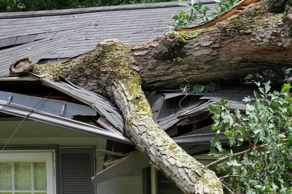 Storm Remediation in Fort Myers