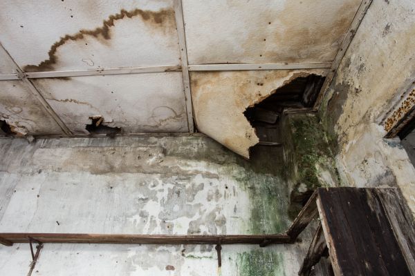 Water Damage Service in Fort Myers