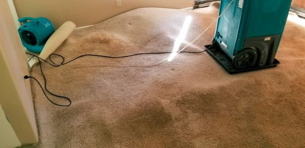 Flood Damage Cleanup in Fort Myers