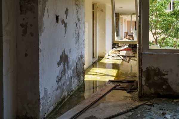 Water Removal Service in Fort Myers