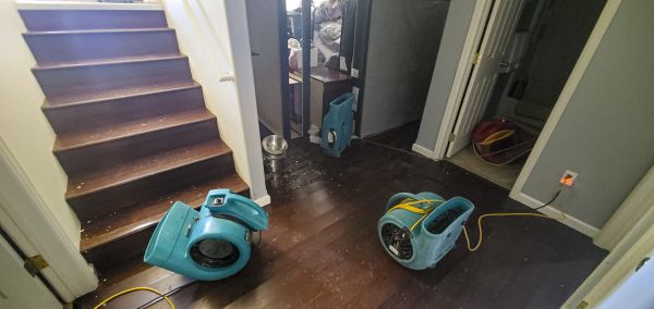 Water Damage Remediation in Fort Myers