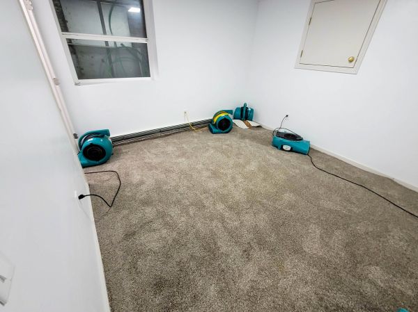 Flood Restoration Service in Fort Myers