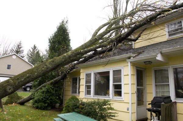 Hurricane Damage Repair in Fort Myers