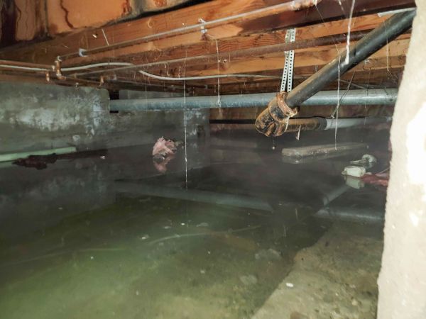 Crawlspace Water Restoration in Fort Myers